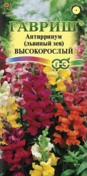 Антирринум/Львиный зев Высокорослый смесь Гавриш