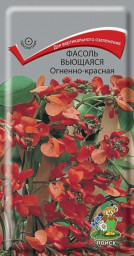 Фасоль вьющаяся Огненно-красная 5шт Поиск