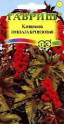 Клещевина Импала бронзовая 5шт Гавриш