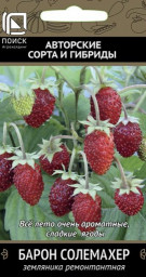 Земляника ремонтантная Барон Солемахер 100шт Поиск